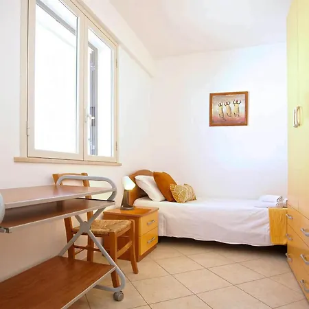 Pet Friendly In Apartment